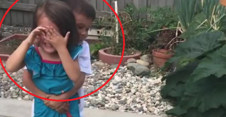 Pogledajte šta je brat uradio kad mu je seku lopta pogodila u glavu: Zbog ove snimke NIKO NE MOŽE ZADRŽATI SUZE!