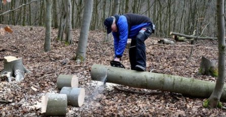 SJEKAO JE DRVA U ŠUMI, A ONDA SU GA PREKINULI ČUDNI ZVUKOVI: Skamenio se kada je ugledao mjesto gdje su se ti zvukovi čuli