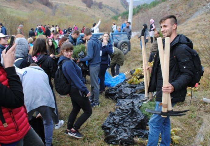 Volonteri na Bjelašnici zasadili 5.000 sadnica