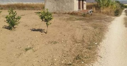 Hrvat postao HIT preko noći, REGION BRUJI O TOME: Pogledajte kako je parkirao automobil, ZNATE LI VI KAKO JE TO USPIO?