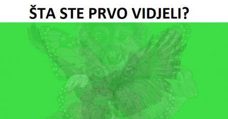 Koju životinju ste prvo vidjeli na slici: Pogledajte šta to otkriva o vama, NAMA JE SVE POGODILO!