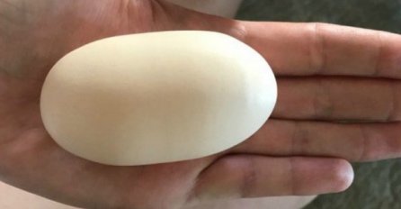 MUTANT JAJE IZAŠLO IZ KOKOŠKE KOJA JE JEDVA PREŽIVJELA: Farmerka je bila u šoku, A ONDA JE RAZBILA JAJE (FOTO)