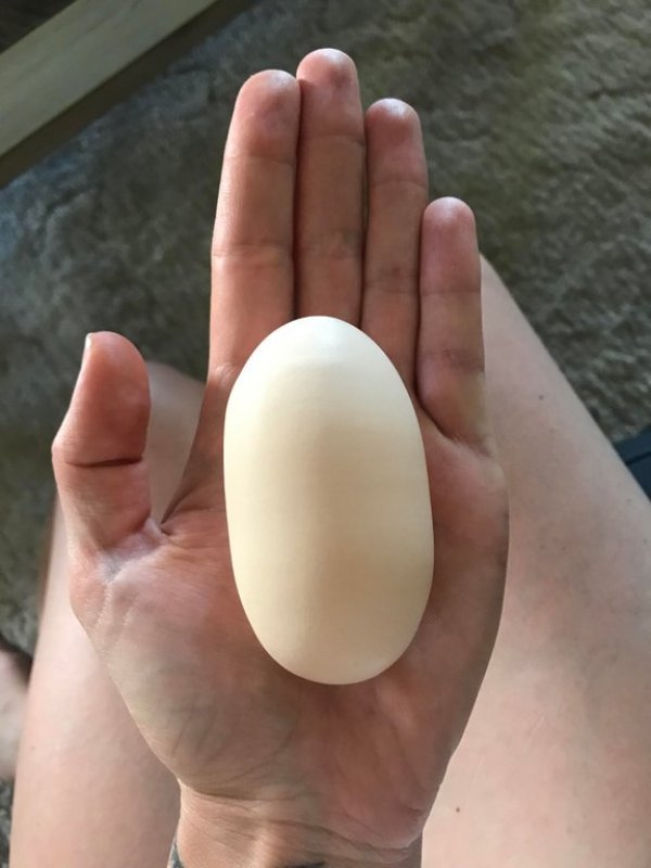 huge-egg