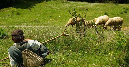 "Svi su mi se smijali po selu" Hrvatski političar tužio kolegu jer ga je nazvao čobanom