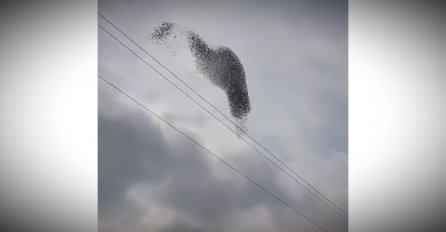 NEKI SU POSMATRALI U STRAHU, A DRUGI ZADIVLJENO: U Srbiji se na NEBU POJAVILO OVO, objavljen snimak!