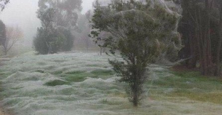 LIČI NA SNIJEG, ALI JE ZAPRAVO MNOGO BIZARNIJE: Iza ovog prizora krije se nevjerovatan FENOMEN (FOTO)