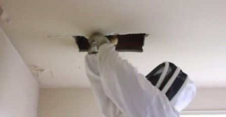 SEDMICAMA  JE SLUŠALA ČUDNE ZVUKOVE IZ PLAFONA: Zaledila se od straha kad je shvatila šta je imala u stanu 