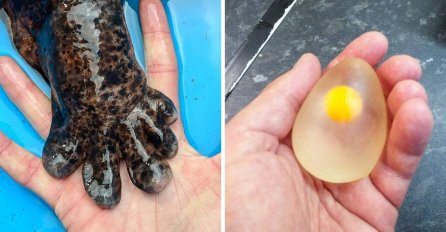 USLIKAO JE NEŠTO ŠTO NIKADA DO SADA NISMO VIDJELI: Ove slike će promijeniti način na koji doživljavate svijet (FOTO)