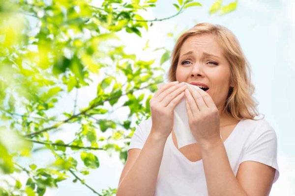 allergia-szenanatha-pollen