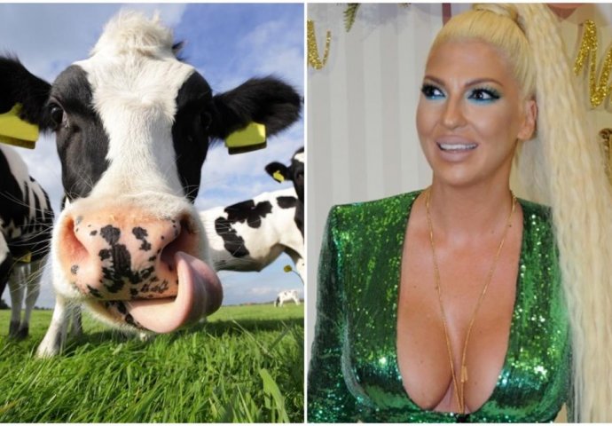 KARLEUŠINO TELE HIT NA INTERNETU, FANOVI SE HVATAJU ZA GLAVU: Pjevačica tvrdi da krava mora da rodi tele da bi imala mlijeko! (FOTO)