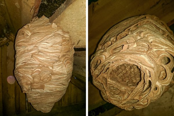 9-otisao-sam-u-potkrovlje-a-tamo-me-cekalo-ovo