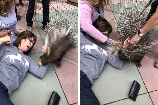 10-htjela-je-foto-a-onda