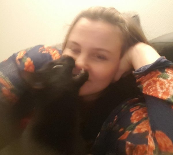 11-izgleda-da-macka-ne-voli-fotografiranje