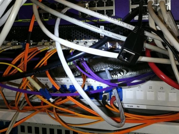 13-kako-je-zavrsila-ovdje