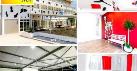 Ako tražite zabavu, udobno i prijateljsko mjesto, hostel 101 Dalmatinac u Splitu je najbolji izbor za Vas!