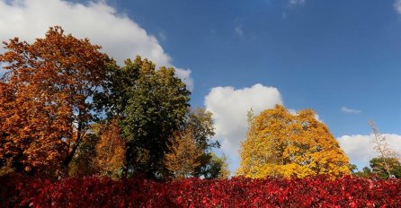 ČUVENI RUSKI NUMEROLOG OTKRIVA: Ovo su najsretniji datumi u septembru - Tih dana se sve želje ostvaruju!