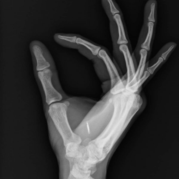 37291637-2022696701377030-2026805752861032448-n