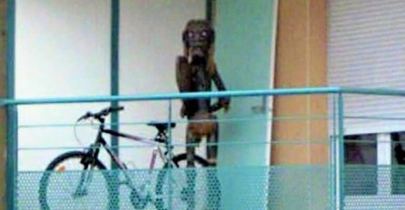 Jezive fotografije koje je snimio Google, od #14 VEČERAS NEĆETE SPAVATI! UPOZORILI SMO VAS!