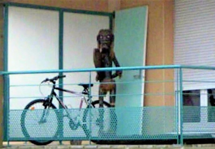 Jezive fotografije koje je snimio Google, od #14 VEČERAS NEĆETE SPAVATI! UPOZORILI SMO VAS!