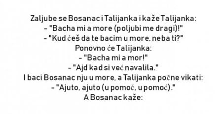 VIC : Bosanac i Talijanka 