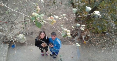 SRBI U NEVJERICI, VOĆE "POLUDJELO": Sazrele višnje, šljive i jabuke kao usred ljeta! (FOTO)