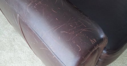 Domaćice otkrile trik: Uklonite sve ogrebotine sa kožnog namještaja, izgledat će kao nov!
