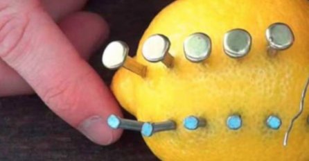 ZABIO JE 12 EKSERA U LIMUN: Kad shvatite šta je napravio, bit će vam jasno zašto vam to može SPASITI ŽIVOT!