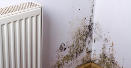 Ovo je prost način da se riješite VLAGE iz kuće!