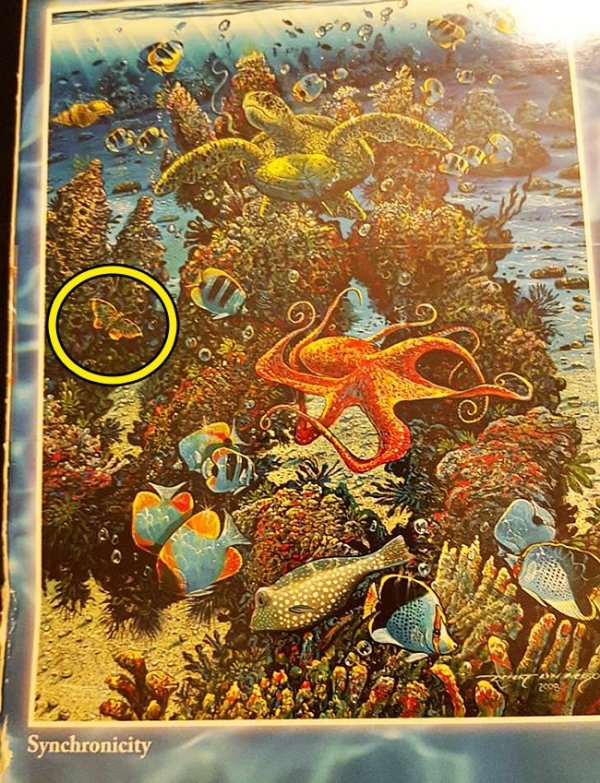 19590710-8999960-18-0-1516270037-1516270043-650-1-1516270043-650-07688770b8-1518418592