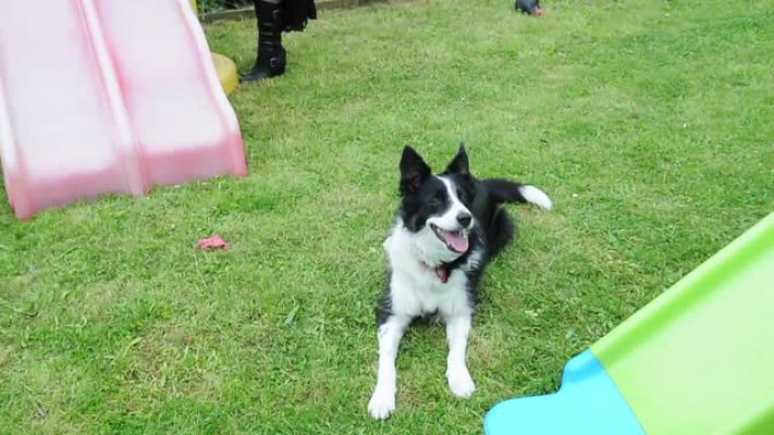 4221396001-5069886889001-5069864372001-vs