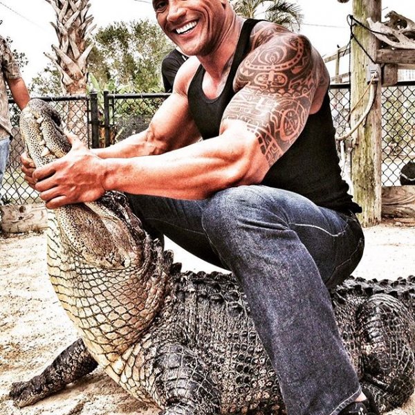 43818176-328009271342368-2783846953425829888-n