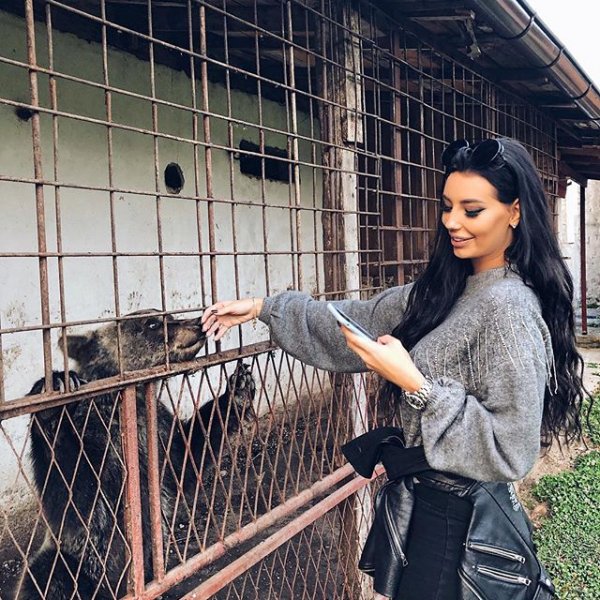 43400740-475713702925005-6938284611528194823-n