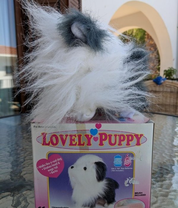 izgledalo-je-mnogo-slade-na-kutiji