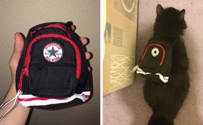 moja-mama-je-ruksak-za-skolu-online-i-to-je-ono-sto-je-doslo