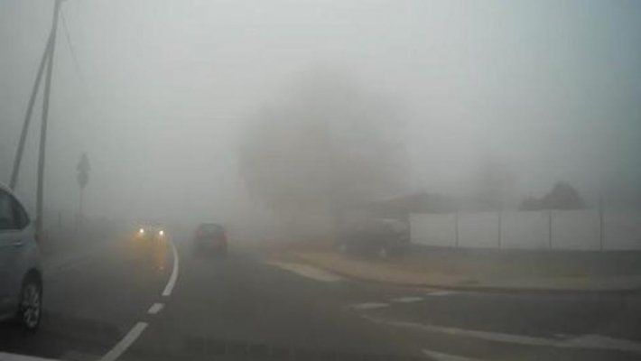 0fef77704b4b04c0dc71