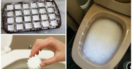 VIŠE NEMA RIBANJA WC ŠOLJE: Napravite jeftine kockice za čićenje kupatila, olakšat će vam posao!