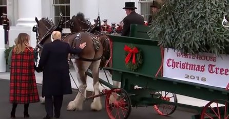 TRUMP PRIŠAO KONJU I URADIO OVO: Smije mu se cijeli svijet, društvene MREŽE SE USIJALE (VIDEO)