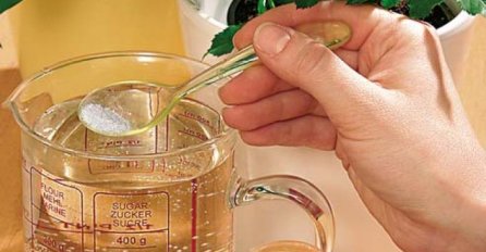 UZ DOMAĆU PRIHRANU CVIJEĆE ĆE BITI BOGATIJE I BUJNIJE: Napravite je sami, važan je da imate OVAJ SASTOJAK!