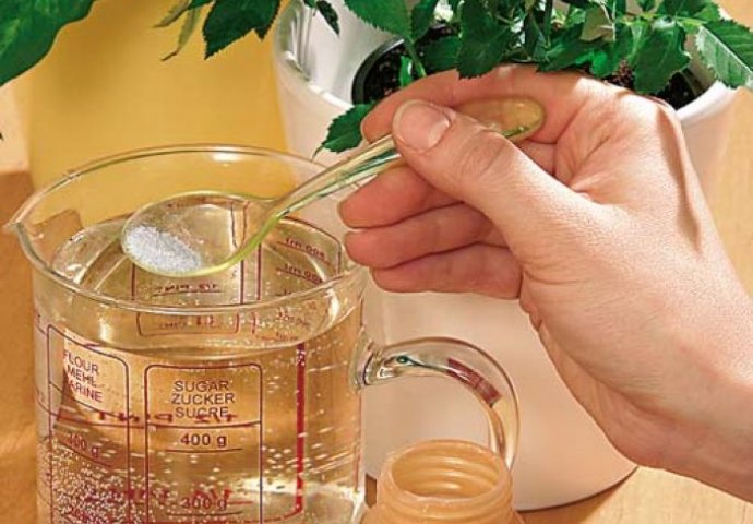 UZ DOMAĆU PRIHRANU CVIJEĆE ĆE BITI BOGATIJE I BUJNIJE: Napravite je sami, važan je da imate OVAJ SASTOJAK!