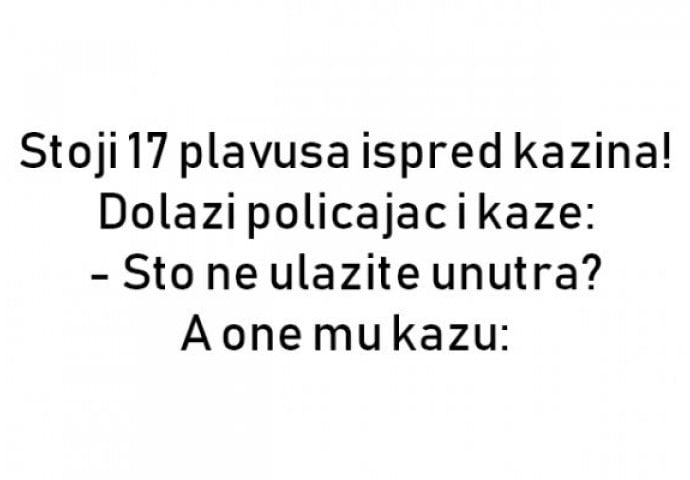 VIC : 17 plavuša