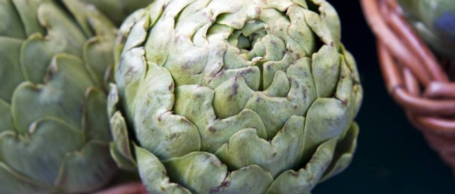 80a34795e1632b8d08ce4f1ab4bae66b-hero