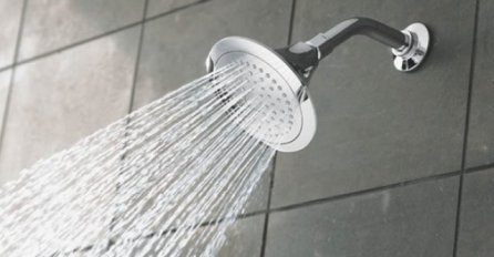 U GLAVI TUŠA SE NALAZI BAKTERIJA KOJA IZAZIVA UPALU PLUĆA: Ovo je najbolji način da ga OČISTITE!