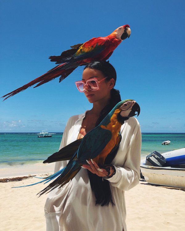 33102684-617583255250401-3054408628690747392-n