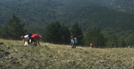 'Branje trave ive na Ozrenu' upisano na listu UNESCO-a