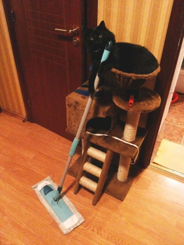 daily-picdump-2997-640-high-22