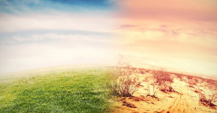 Delegacija BiH na Konferenciji UN-a o klimatskim promjenama