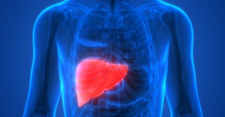 UKOLIKO IMATE MASNU JETRU ISPROBAJTE OVAJ PRIRODNI NAPITAK: Očistit će se u potpunosti, ne treba vam doktor