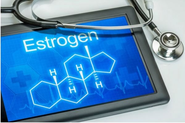 estrogen2