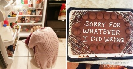 SAMO TRUDNICE ĆE SHVATITI OVE SLIKE: Kad vidite posljednju OPLAKAT ĆETE OD SMIJEHA!