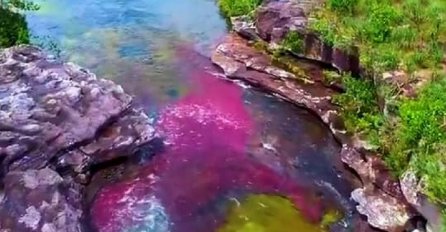 JEDINA NA PLANETI: Najljepša rijeka na svijetu teče u pet boja! (VIDEO)